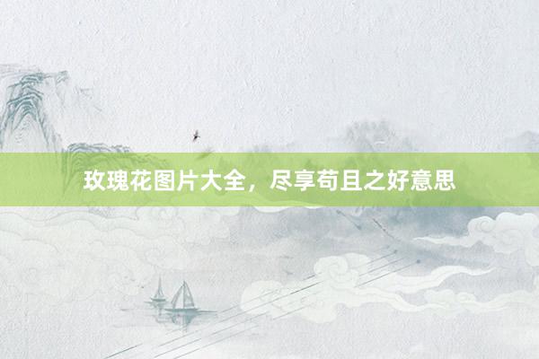 玫瑰花图片大全，尽享苟且之好意思