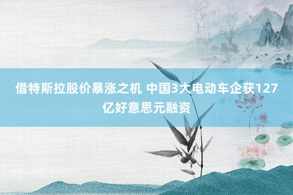 借特斯拉股价暴涨之机 中国3大电动车企获127亿好意思元融资