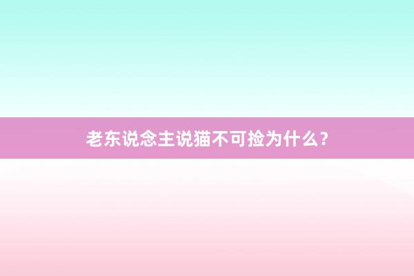 老东说念主说猫不可捡为什么？